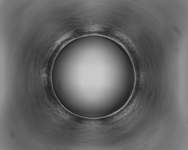 X0000113931210200909251212