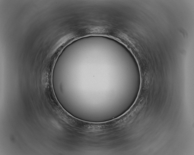 X0000113931211200909251212