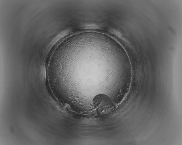 X0000113931221200909251212