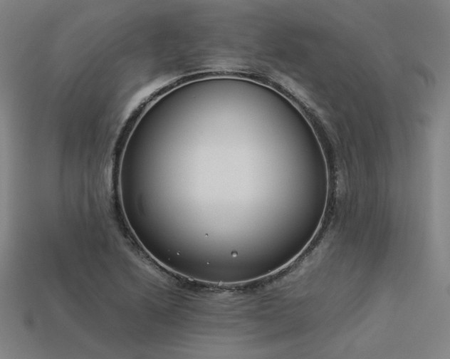 X0000113931222200909251212