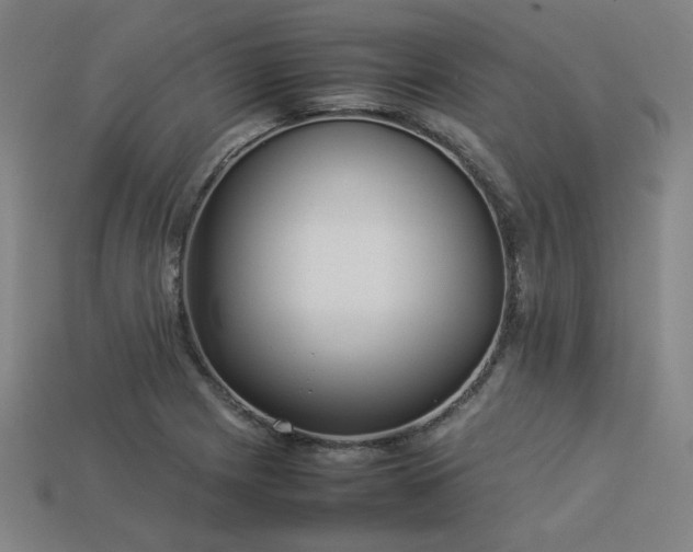X0000113931225200909251212