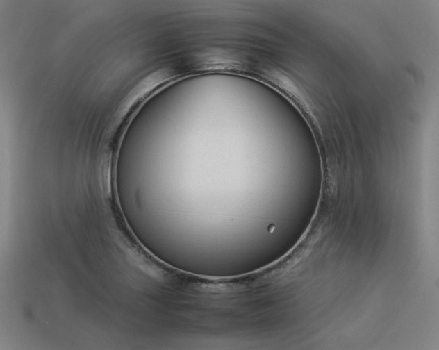 X0000113931227200909251212