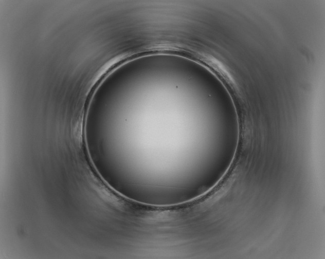 X0000113931228200909251212