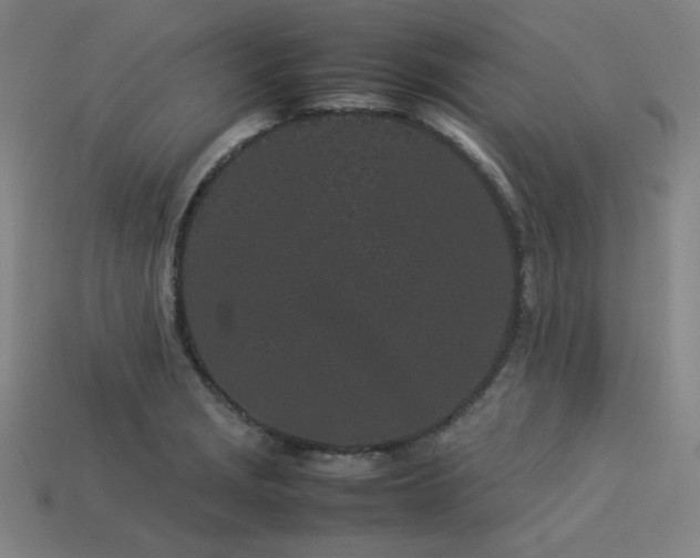 X0000113931229200909251212