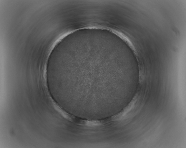 X0000113931231200909251212