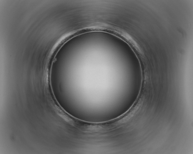 X0000113931232200909251212
