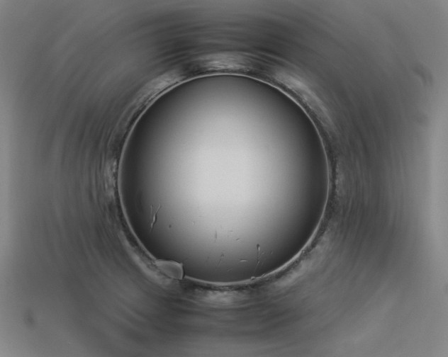 X0000113931233200909251212