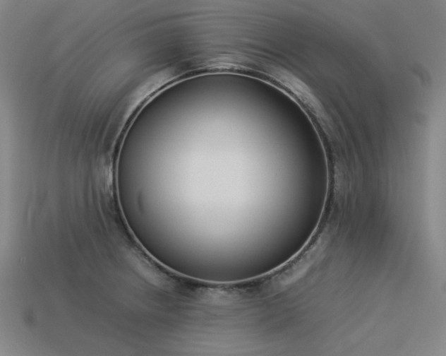 X0000113931234200909251212