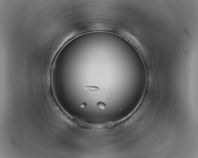 X0000113931236200909251212