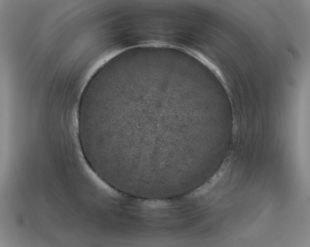 X0000113931239200909251213