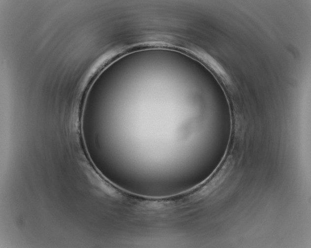 X0000113931240200909251213
