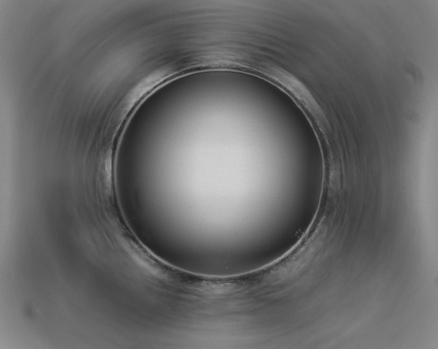 X0000113931242200909251213