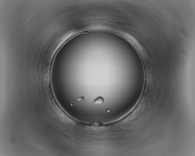 X0000113931244200909251213
