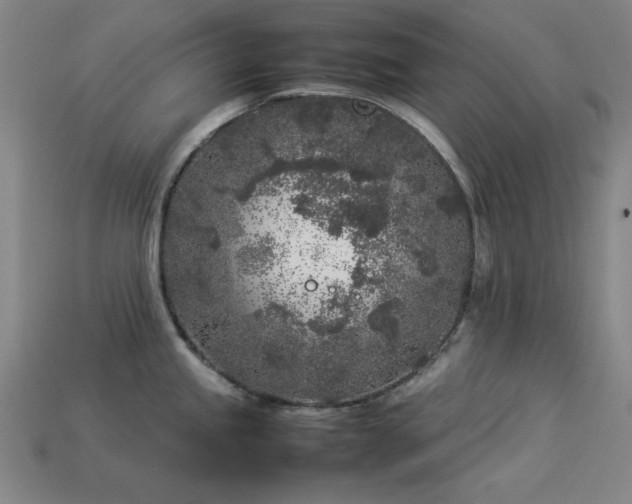 X0000113931245200909251213
