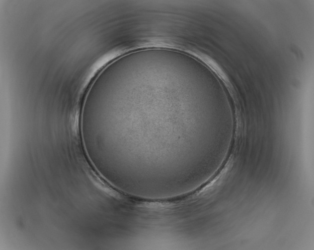 X0000113931246200909251213