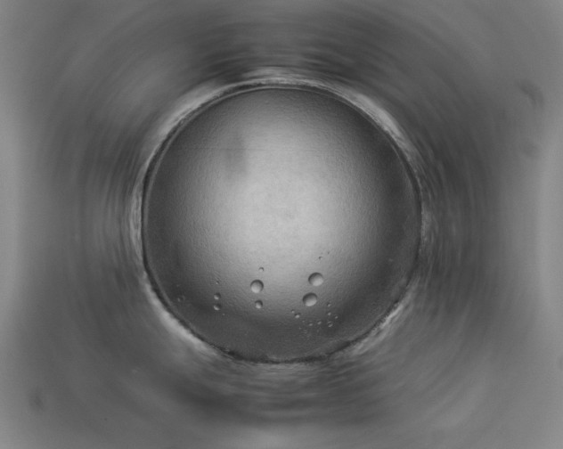 X0000113931247200909251213