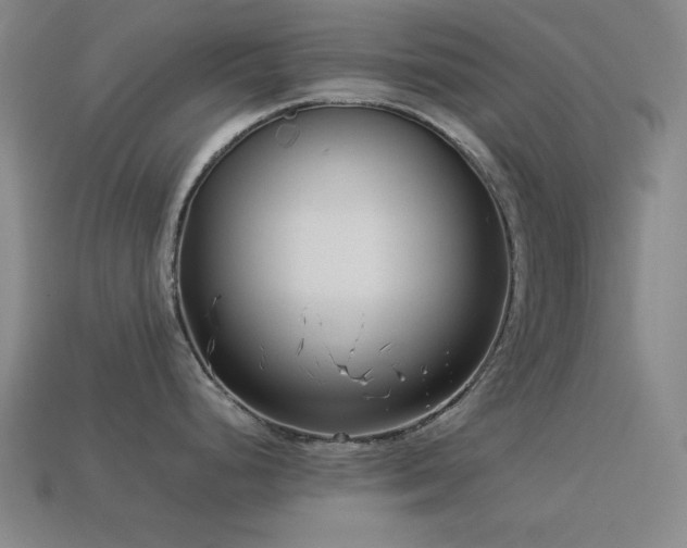 X0000113931248200909251213