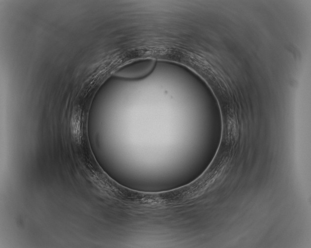 X0000113931250200909251212