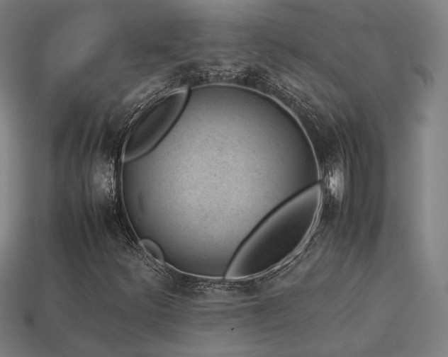X0000113931252200909251212