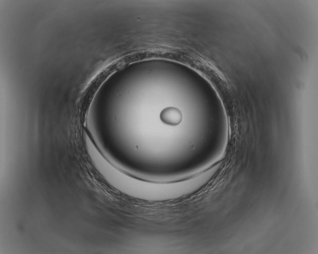 X0000113931256200909251212