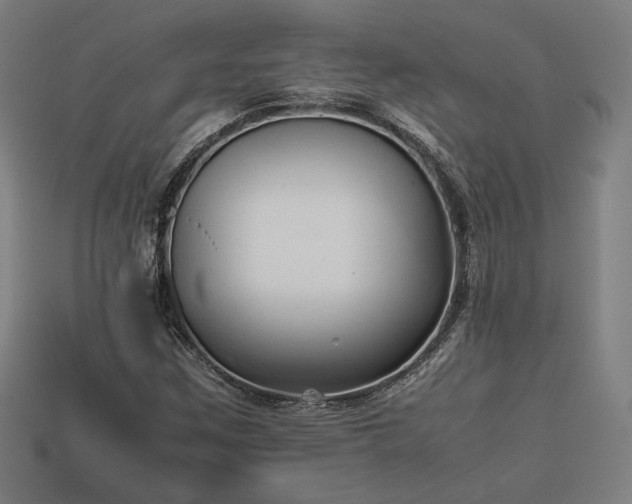 X0000113931259200909251212