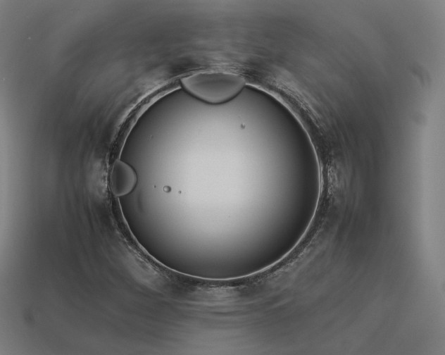 X0000113931260200909251212