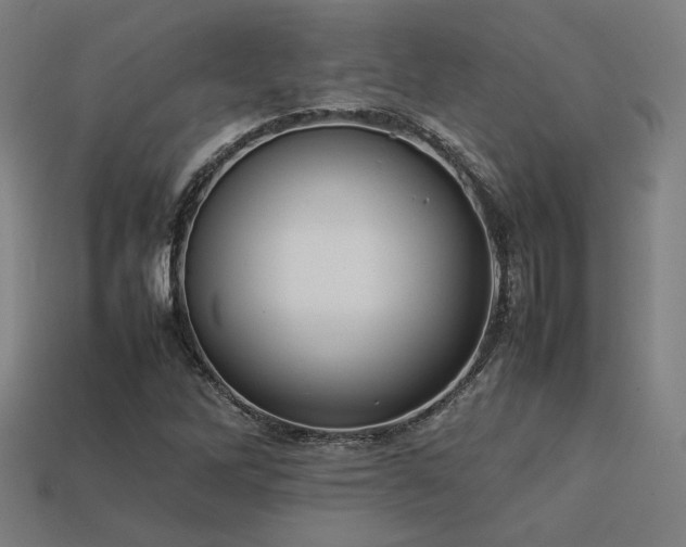 X0000113931262200909251212