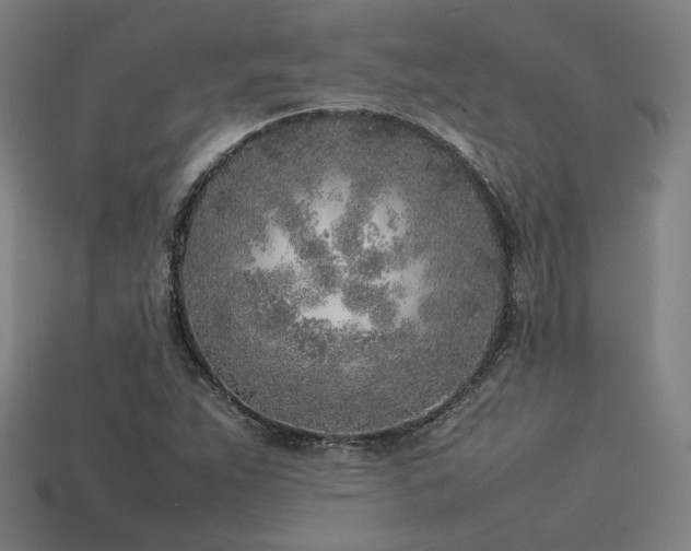 X0000113931263200909251212