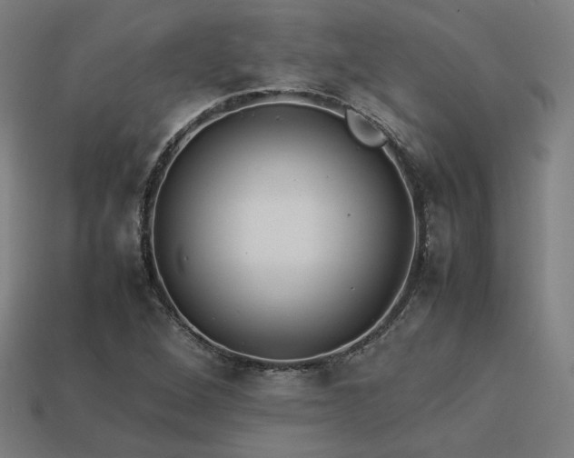 X0000113931264200909251212