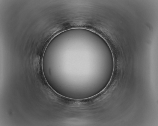 X0000113931265200909251212