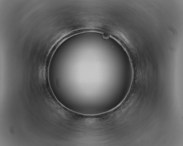 X0000113931268200909251212