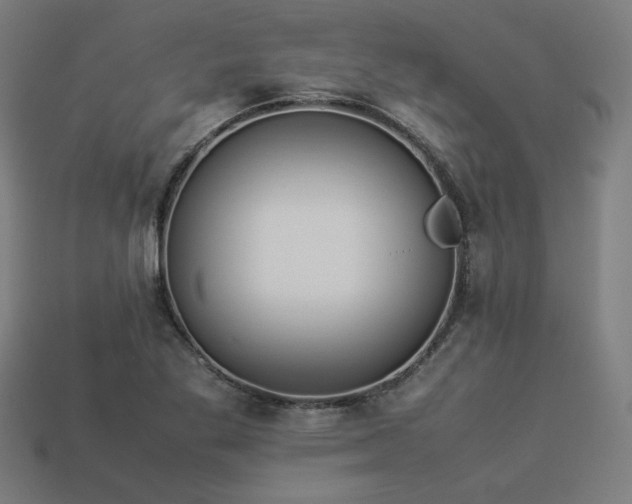 X0000113931269200909251212