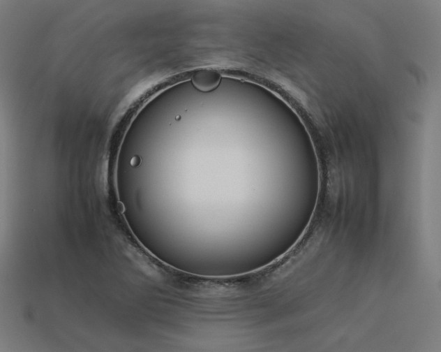 X0000113931270200909251212