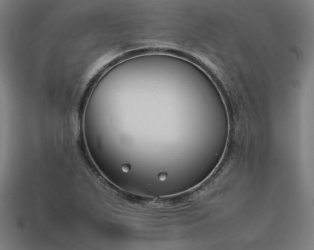 X0000113931271200909251212