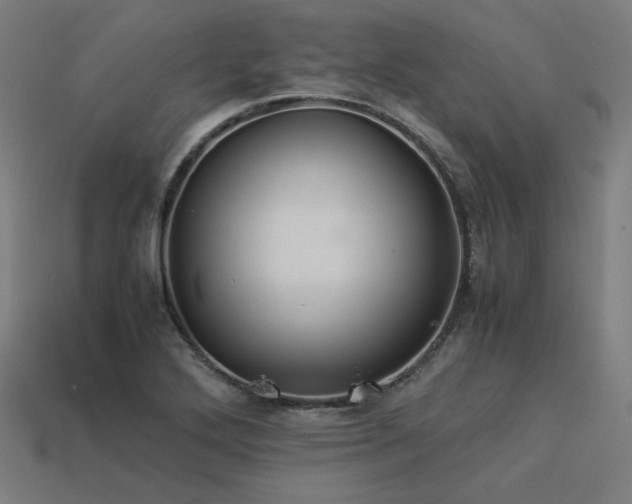 X0000113931272200909251212