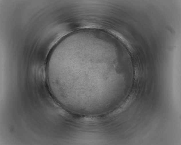 X0000113931274200909251212