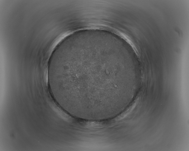 X0000113931275200909251212