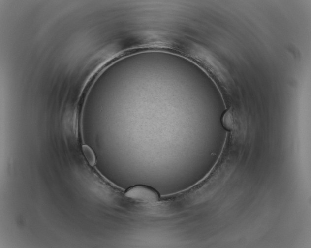 X0000113931276200909251212