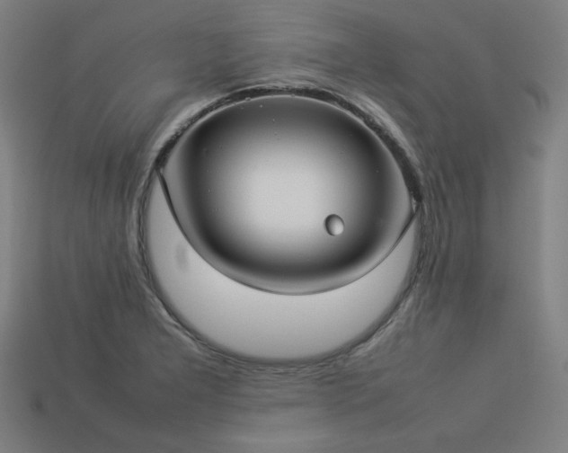X0000113931277200909251212