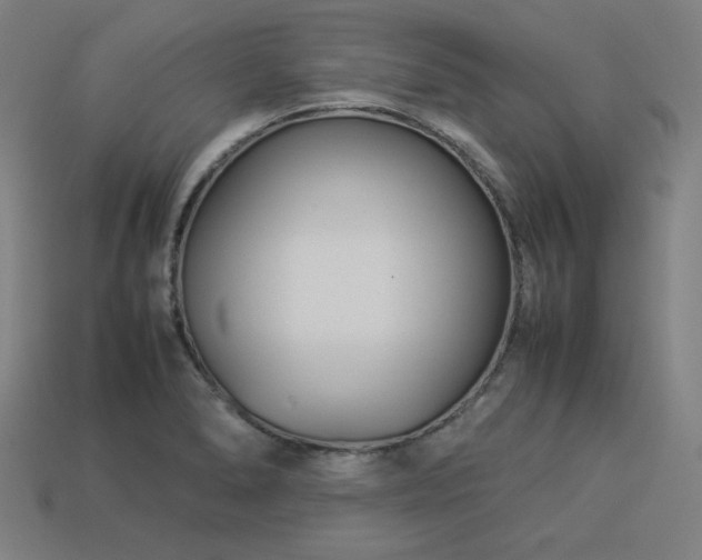 X0000113931278200909251212
