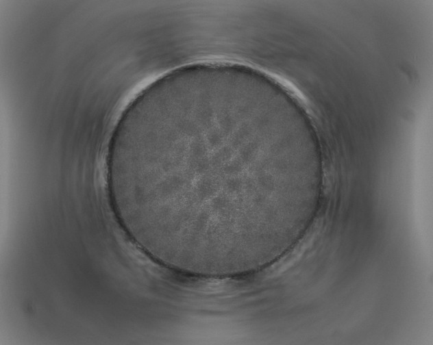 X0000113931279200909251212