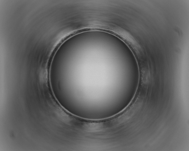 X0000113931280200909251212
