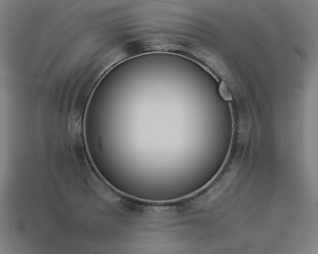 X0000113931281200909251212