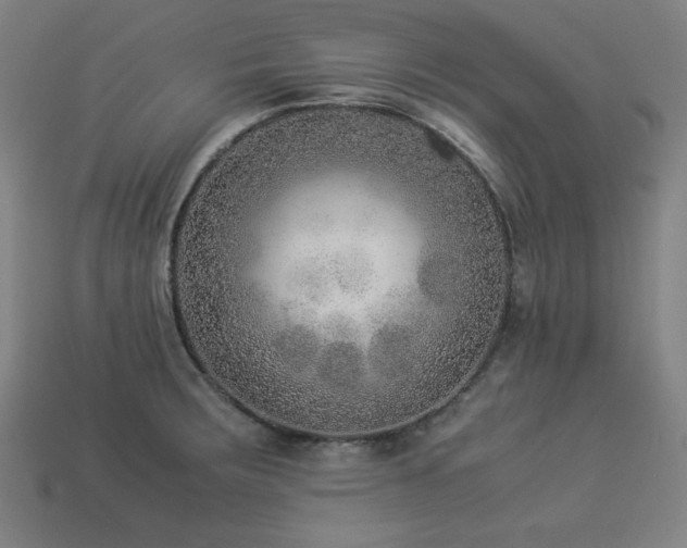 X0000113931283200909251212