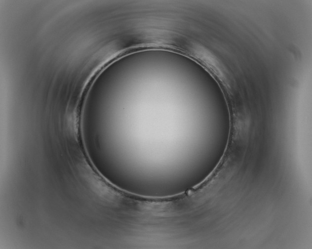 X0000113931284200909251212