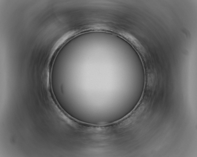X0000113931286200909251212