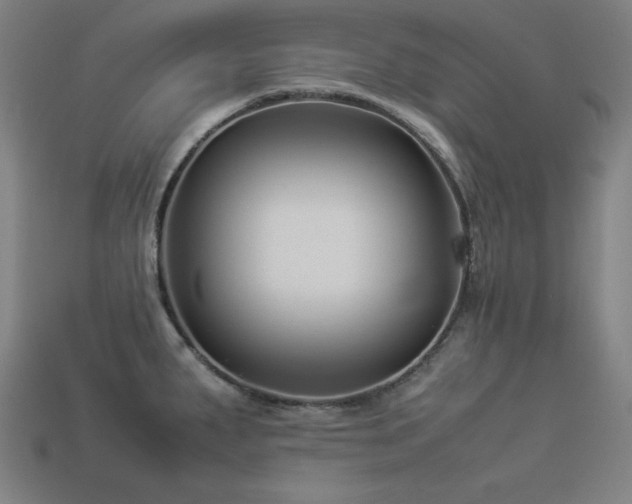 X0000113931287200909251212