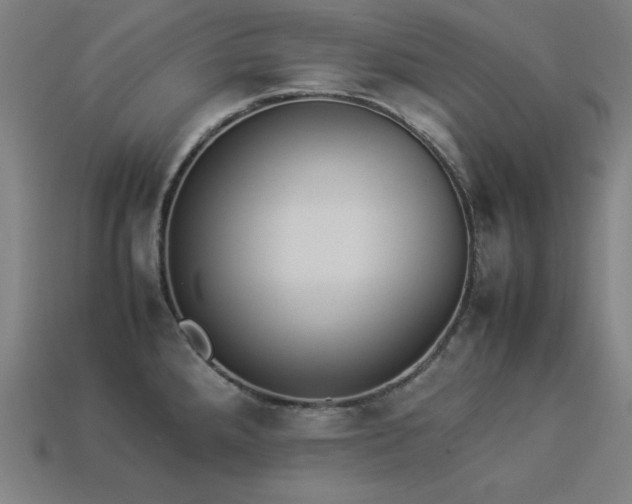 X0000113931288200909251212