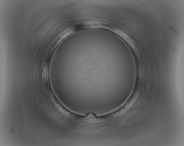 X0000113931289200909251212