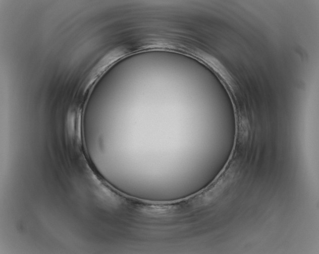 X0000113931290200909251211